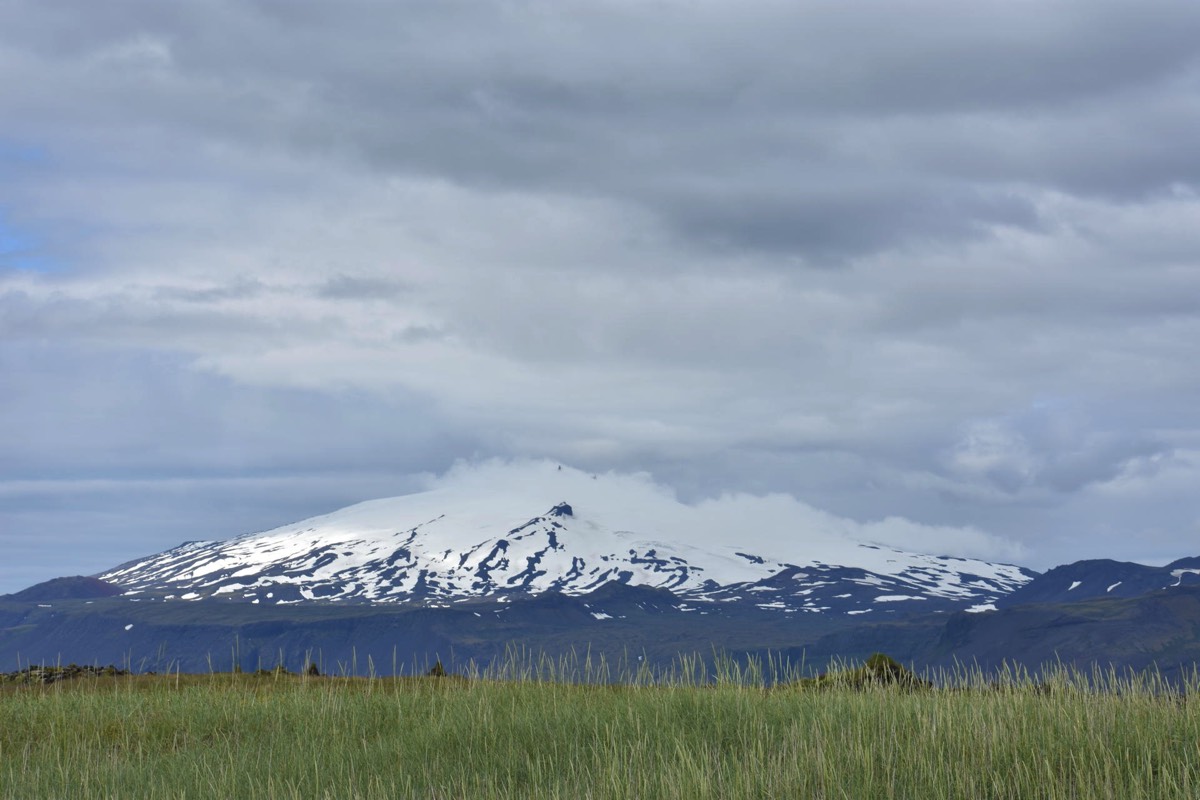 Stacks Image 84