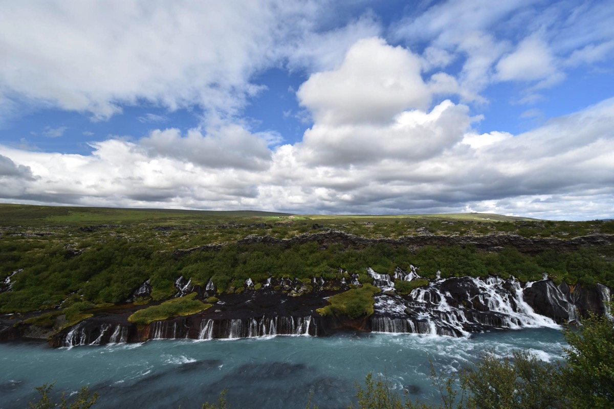 Stacks Image 80